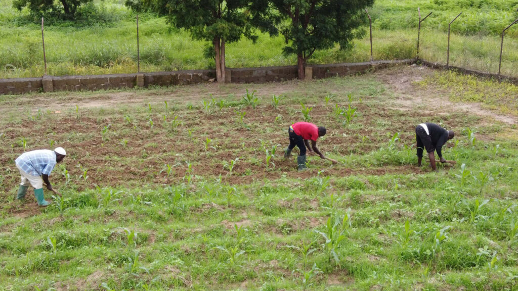 Farmers work on their fields