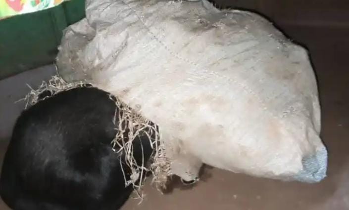 Chop Bar Operator arrested over stolen pregnant goats at Nkurakan Chop Bar Operator arrested over stolen pregnant goats at Nkurakan