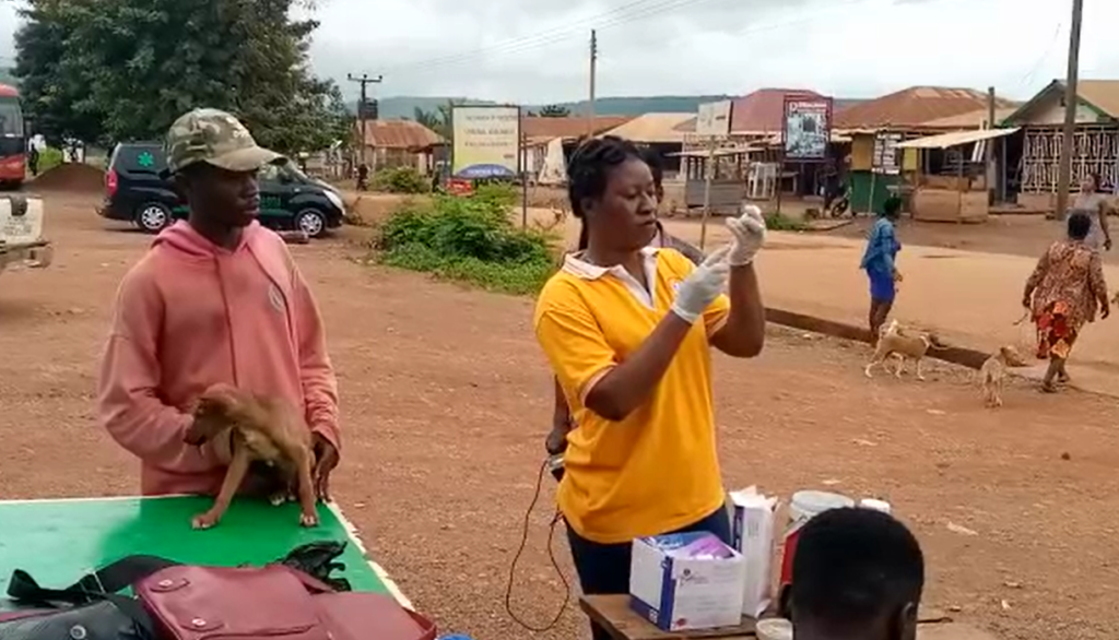 2,000 dogs to be vaccinated against rabies - Asutifi North Agric Director 2,000 dogs to be vaccinated against rabies - Asutifi North Agric Director