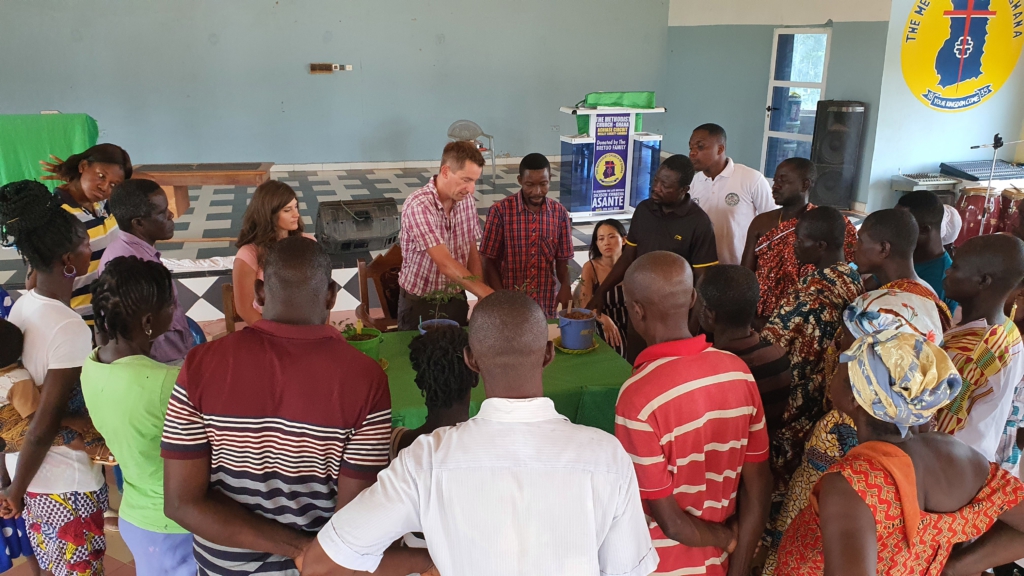 Reviving a poisoned earth: How a fungus is giving hope to Ghana’s contaminated soil