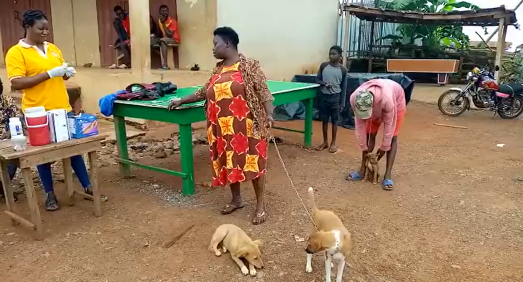 2,000 dogs to be vaccinated against rabies - Asutifi North Agric Director