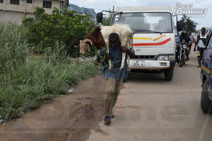 In pictures: Hundreds rendered homeless at Ashalaja