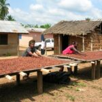 Ofori-Atta has nothing to offer cocoa farmers – President of Cocoa Farmers Assoc.