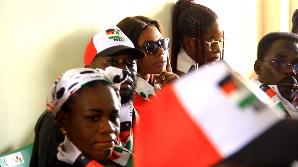 There will be multiple injunctions before regional, national party election - NDC