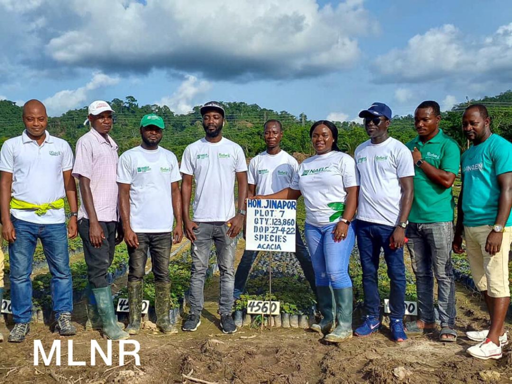 80,000 youth secure jobs in reafforestation - NAELP