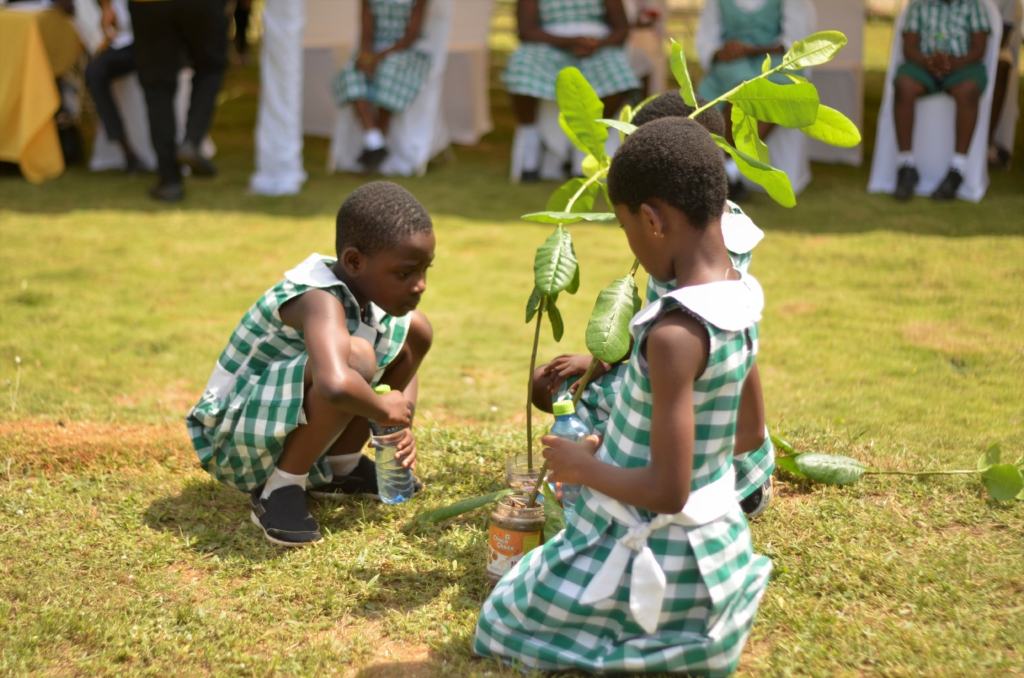 Royal Choice Academy wins Sinapi Aba's green and sanitation contest for basic schools