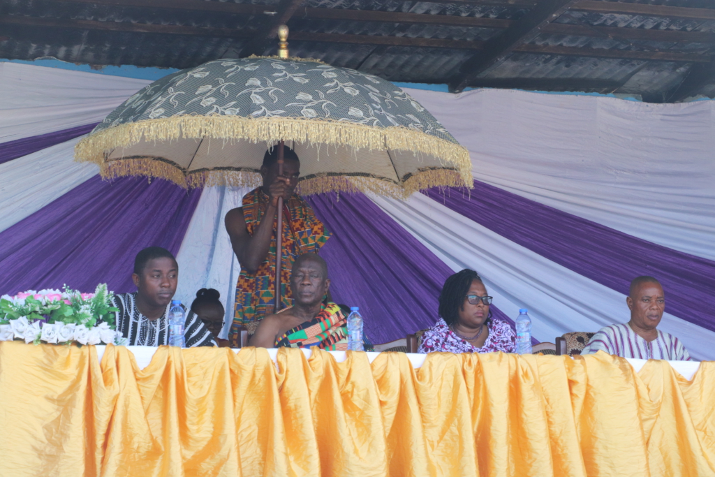 Ensure peace and fair traditional jurisprudence - DCE to Nkonya Traditional Council￼