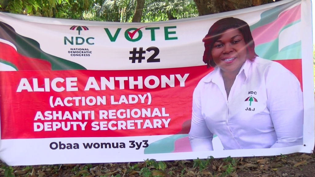 NDC Regional Elections: 61 aspirants vying for executive positions in Ashanti