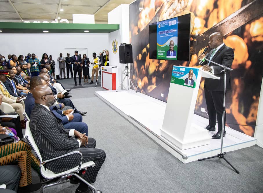 Walk the talk - Lands Minister challenges developed world at COP27 as Ghana qualifies for $50 million climate support
