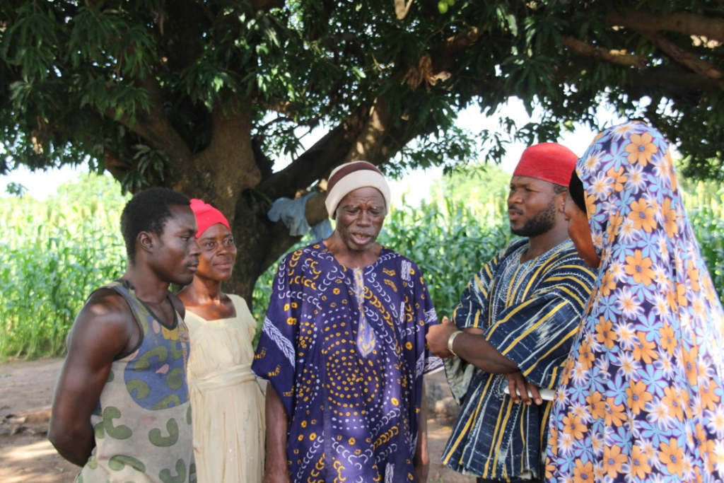 Ghanaian farmers embrace 'lost crops' to adapt to climate change