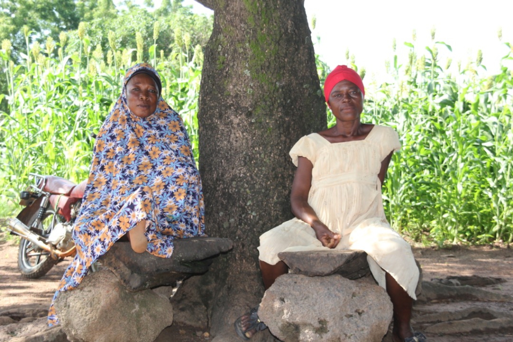 Ghanaian farmers embrace 'lost crops' to adapt to climate change