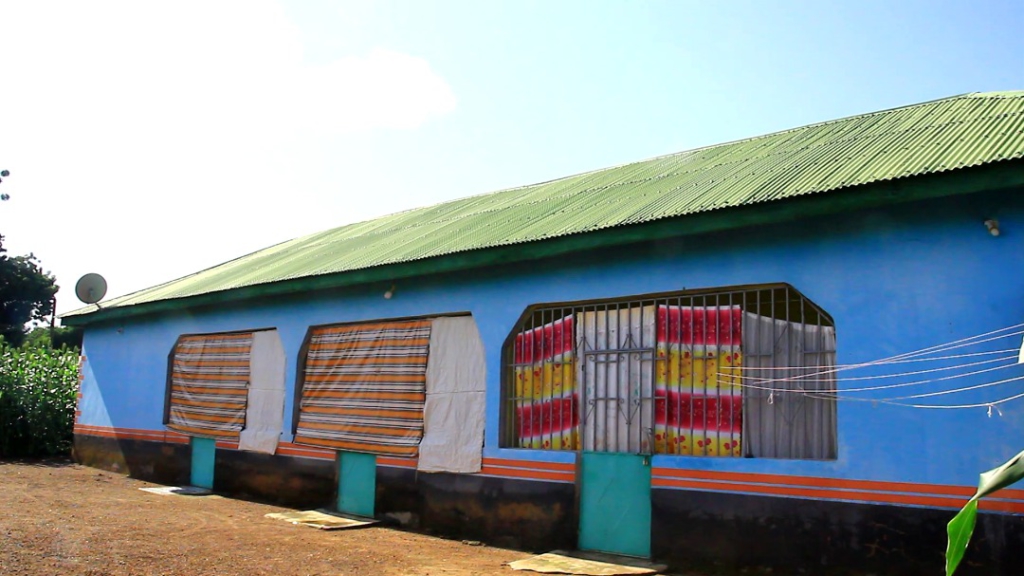 Ghanaian farmers embrace 'lost crops' to adapt to climate change