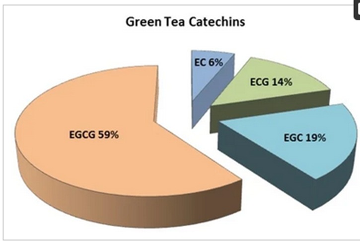 Drinking green tea may help you live longer, reduces breast and prostate cancer risk