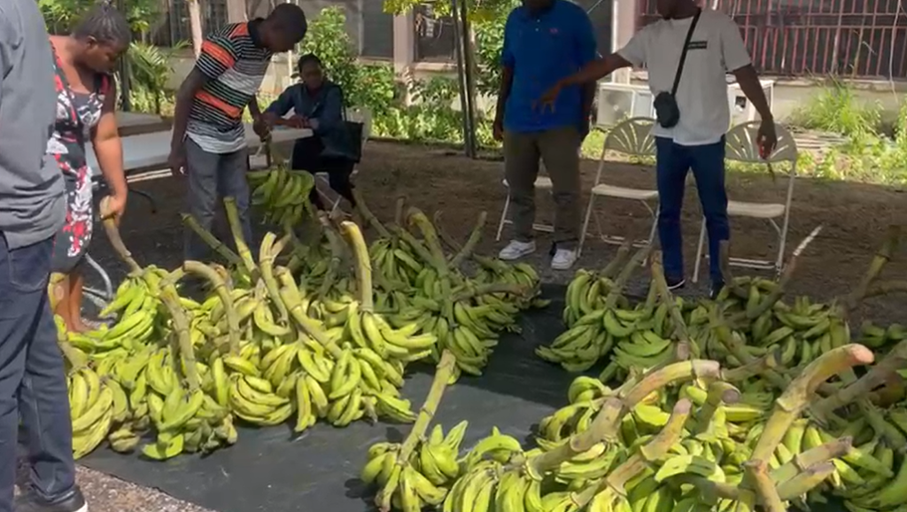 'The big truck is still on the way' - Agric Ministry justifies insufficient foodstuff at PFJ market 'The big truck is still on the way' - Agric Ministry justifies insufficient foodstuff at PFJ market