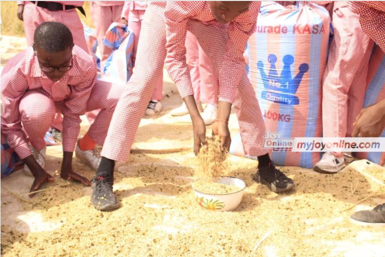 Limited combine harvesters in Northern Region threaten rice harvest