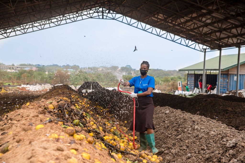 Asase Gyefo organic fertiliser to the rescue amid inorganic fertlisers’ record-high global prices