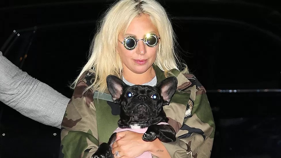 Man jailed 21 years for shooting Lady Gaga's dog walker