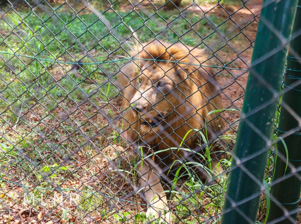 Lands Minister reopens Accra zoo; calls for conservation of terrestrial life and ecosystem￼