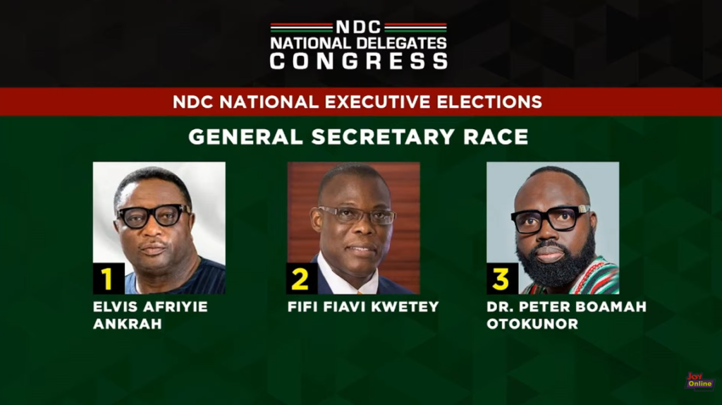 Fifi Kwetey takes over from Asiedu Nketia as NDC's General Secretary