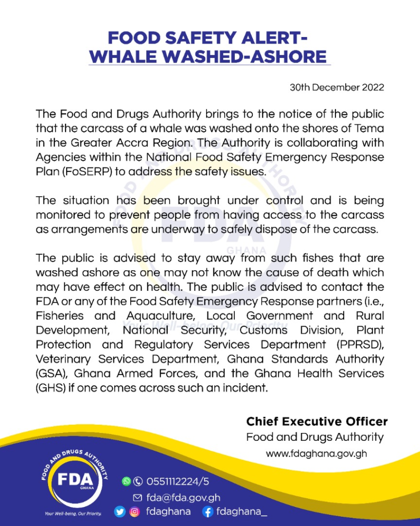 FDA cautions public against consumption of dead whale at Tema