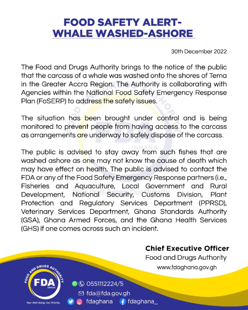 FDA cautions public against consumption of dead whale at Tema FDA cautions public against consumption of dead whale at Tema