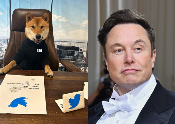 Elon Musk jokes about making his dog the new CEO of Twitter - MyJoyOnline