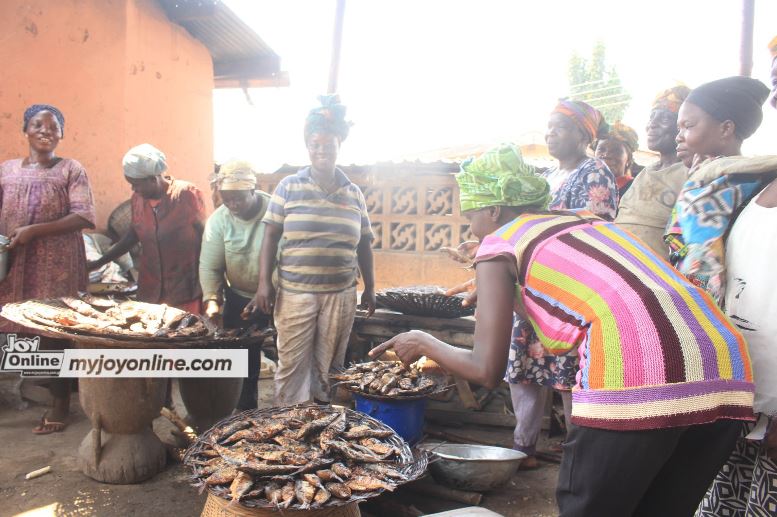 Kpando fish processing women seek government's help for expansion