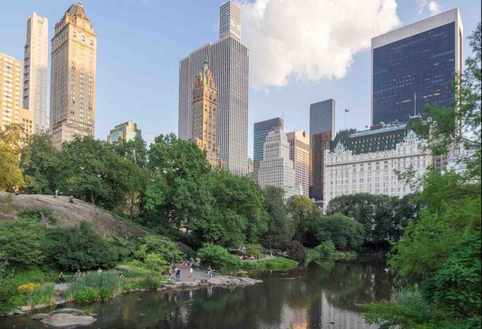 Visiting green spaces 3-4 times weekly may lower your need for meds, according to new study Visiting green spaces 3-4 times weekly may lower your need for meds, according to new study