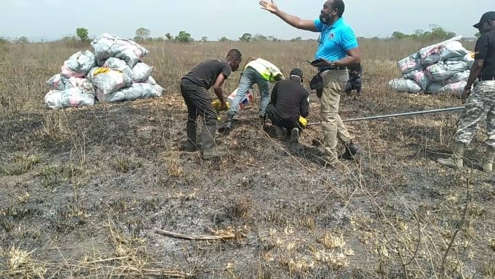 Narcotics Control Commission destroys ¢50m worth of cannabis