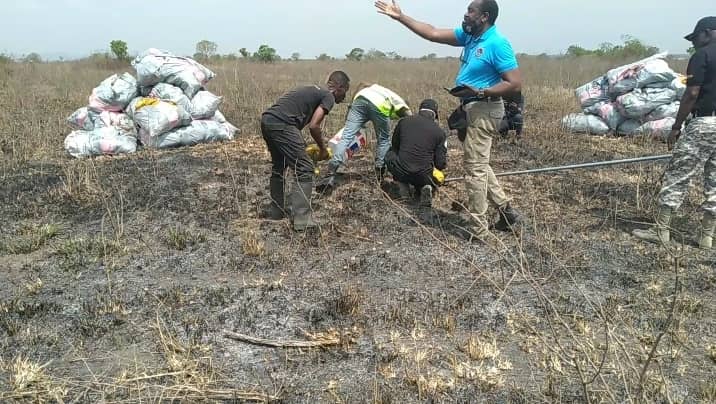 Narcotics Control Commission destroys ¢50m worth of cannabis Narcotics Control Commission destroys ¢50m worth of cannabis