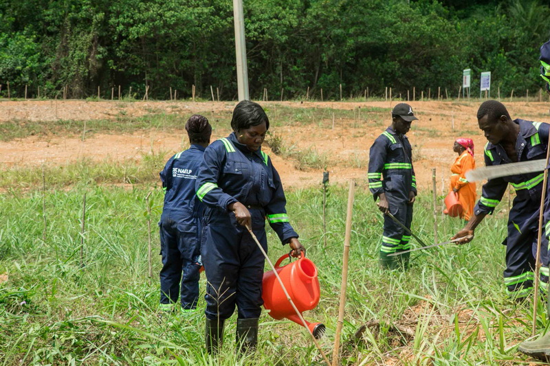 Government reclaims over 1,000 hectares of galamsey lands in Western North