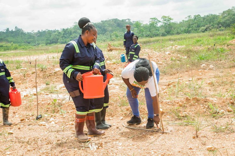 Government reclaims over 1,000 hectares of galamsey lands in Western North