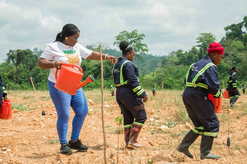 Government reclaims over 1,000 hectares of galamsey lands in Western North