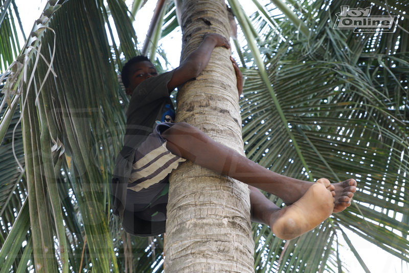 The 13-year-old student who survives on coconut