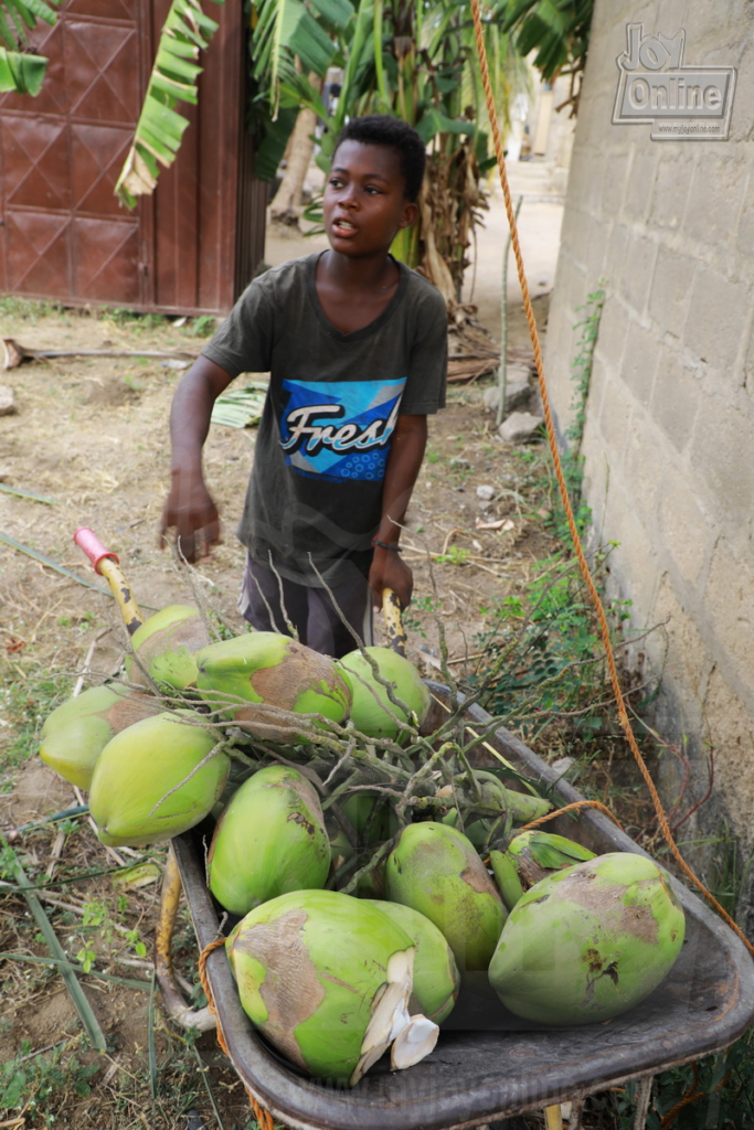 The 13-year-old boy who survives on coconut The 13-year-old boy who survives on coconut
