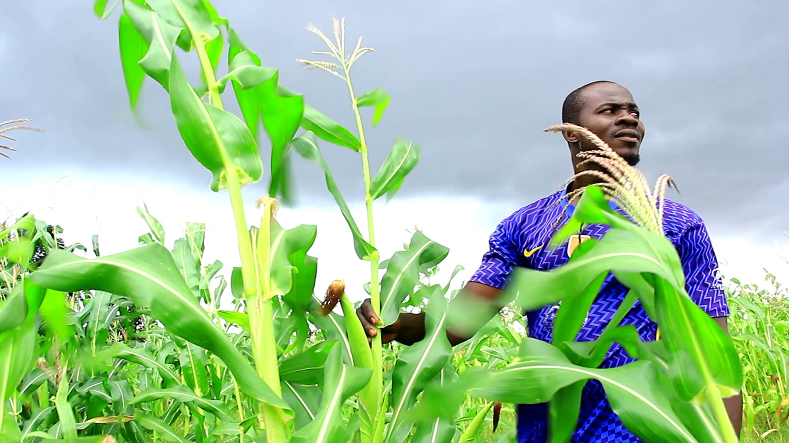 Weather information assists farmers to adapt to climate change - Vimarsana News