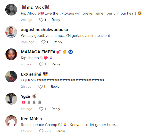 Social media users react to TikToker Ahoufe's death