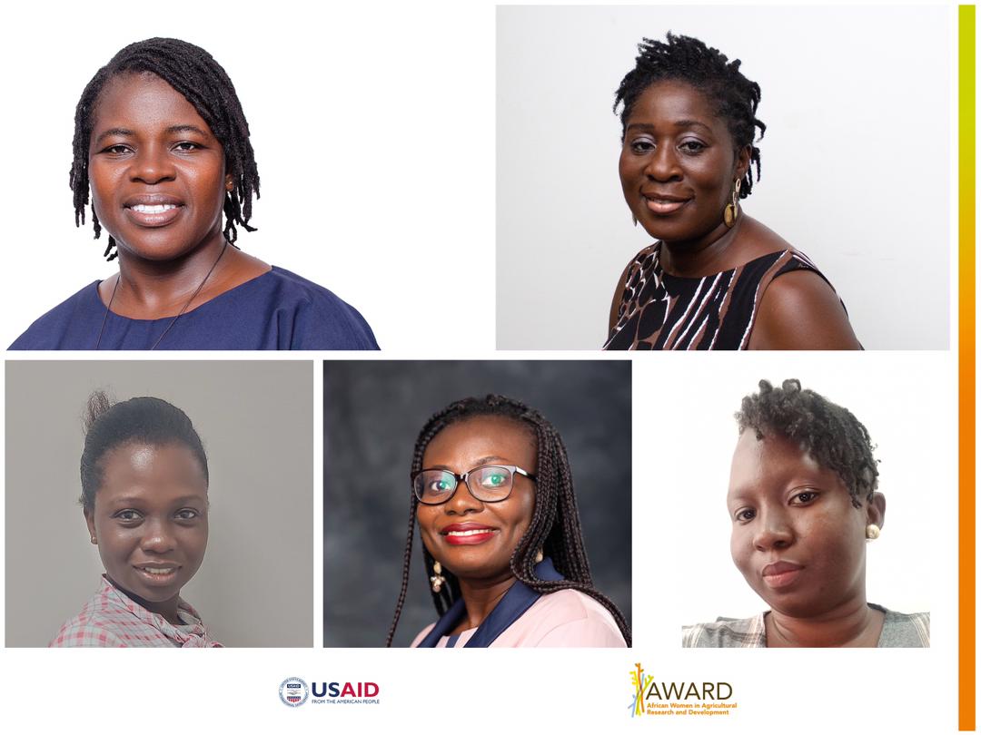 Pioneering career fellowship supports Ghanaian women to enhance agri-food policies 2 Fellowship