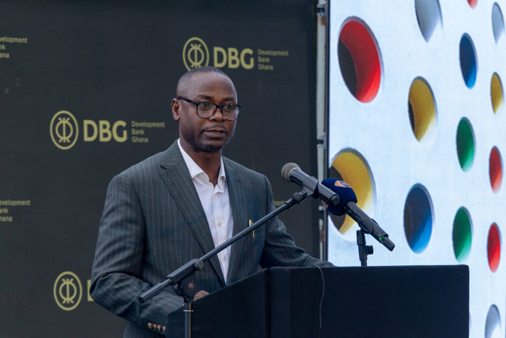 Explore local opportunities to grow economy – Prof Osei-Assibey to DBG, banks - Vimarsana News
