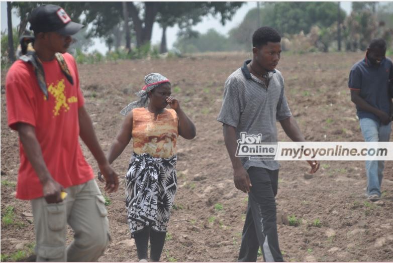 Kyekyenkura farmlands takeover: Hundreds of farmers to lose livelihoods Kyekyenkura farmlands takeover: Hundreds of farmers to lose livelihoods