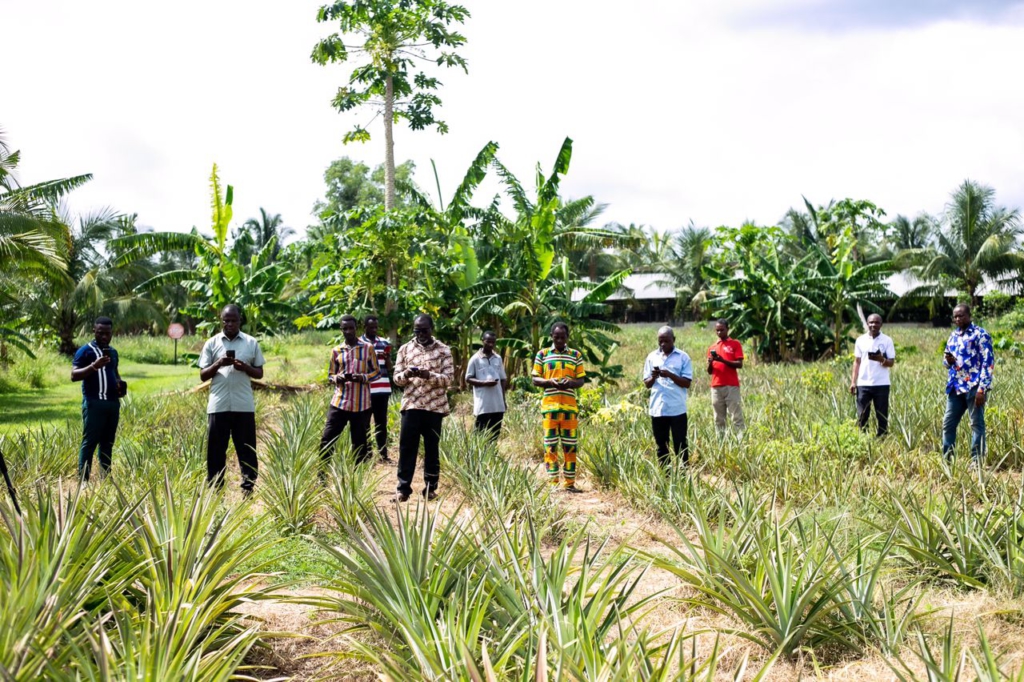 Digitalising Agriculture: Tech companies meet horticultural value chain