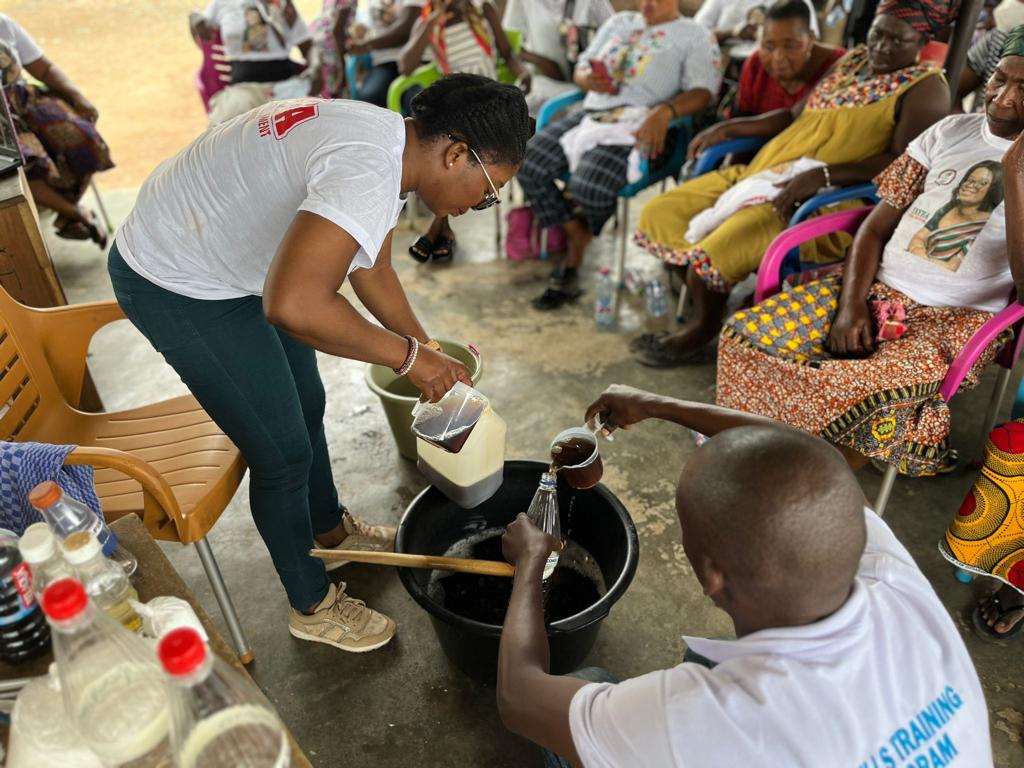 NDC Primaries: I'm the tsetse fly that will kill the elephant in Hohoe - Vera Hayibor NDC Primaries: I'm the tsetse fly that will kill the elephant in Hohoe - Vera Hayibor
