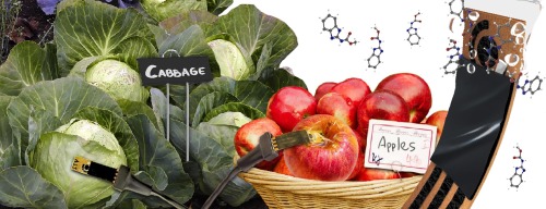Scientists develop Kraft paper-based sensor to detect traces of pesticides in food