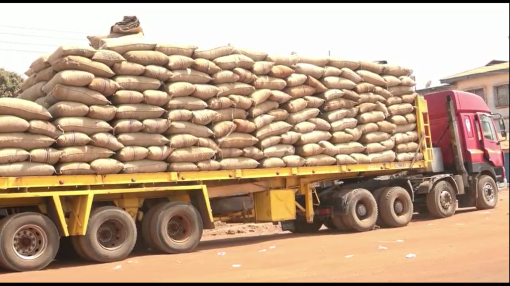 Protecting local investment: Cashew farmers call for enforcement of minimum gate price and closure of Cote D’Ivoire border