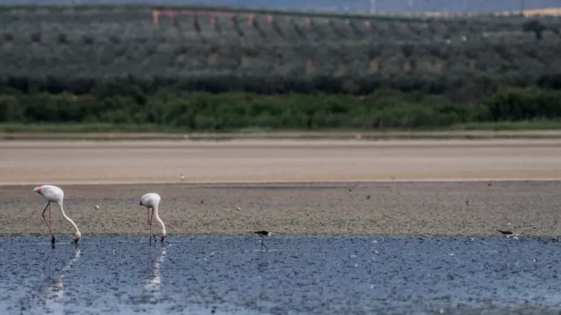 Global warming set to break key 1.5C limit for first time