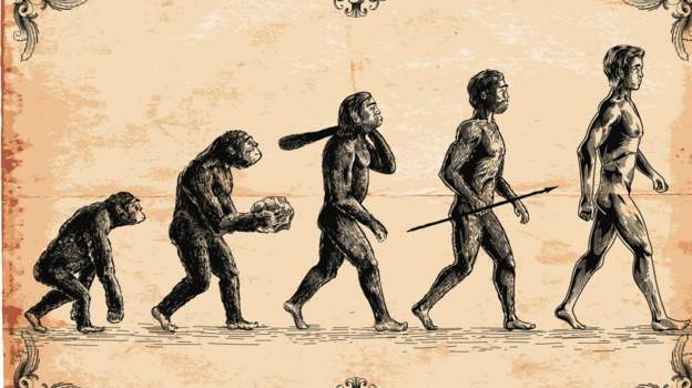 The new research challenges the traditional theory on the origins of humans in Africa