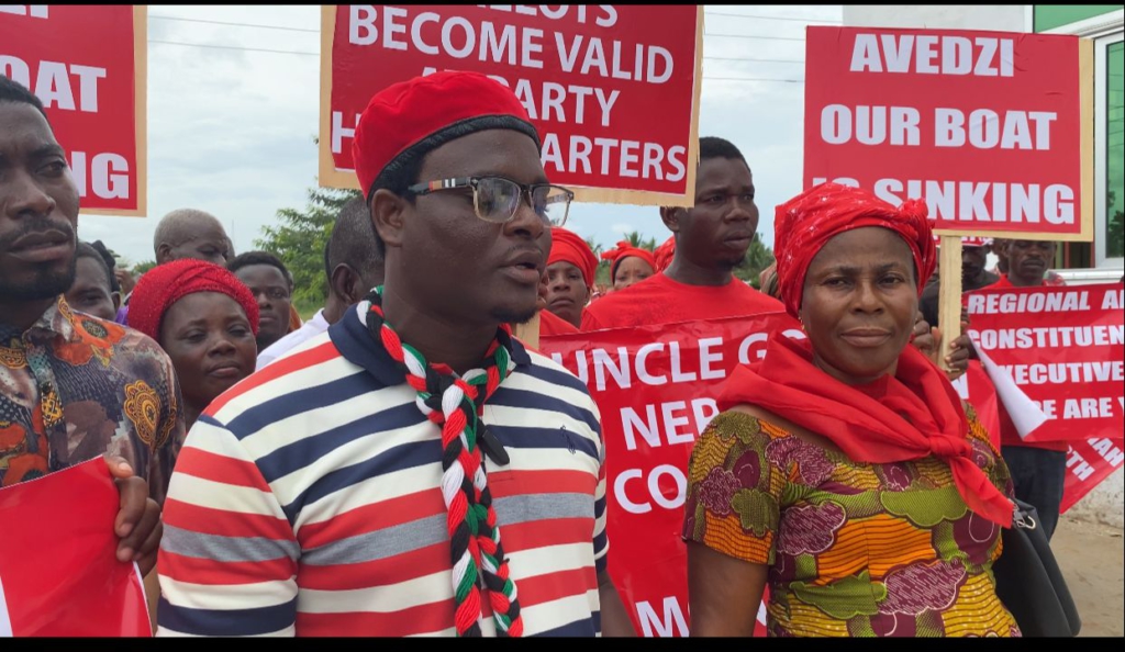 Ketu North: Re-run parliamentary primary to avert apathy - Group to NDC