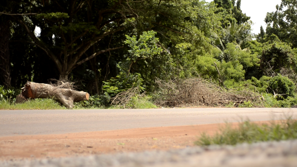 World Environment Day: Ghana’s road medians turned spaces for garbage and weedy sand mounds