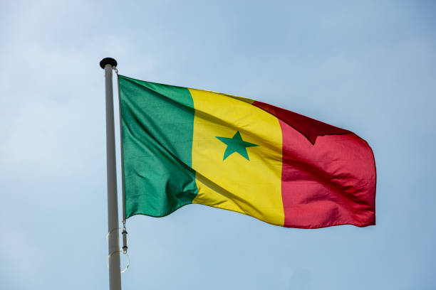 Senegal's future hangs in the balance - #GardonsLesYeuxSurLeSenegal, West Africa's longest-standing democracy! - Vimarsana News