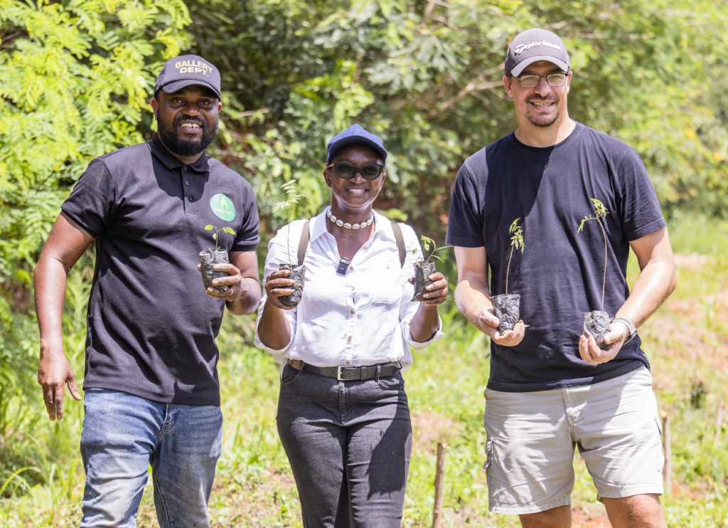 Pernod Ricard Ghana’s planting of 10k trees begins at Moree